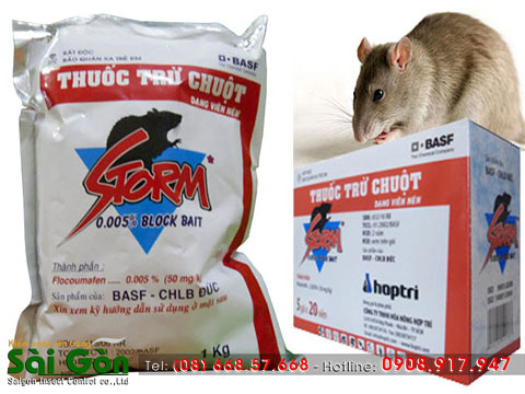 Diệt chuột bằng xi măng là phương pháp diệt chuột an toàn hiệu quả