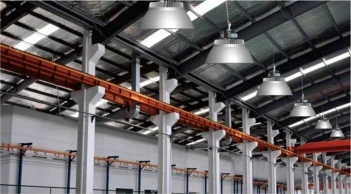 Đèn led nhà xưởng Rạng Đông - SINH LÝ ĐÀN ÔNG